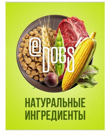 ECATS Dry Folding Complementary for cats with beef ECTS 10 kg - Buy Online on GoSupps.com