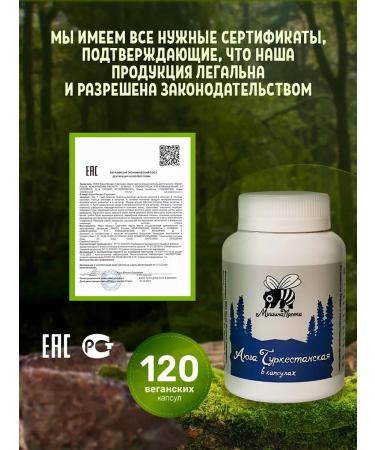 Mishina Apiary Ayuga Turkestan in capsules 120 pieces 400 mg - Buy Online on GoSupps.com