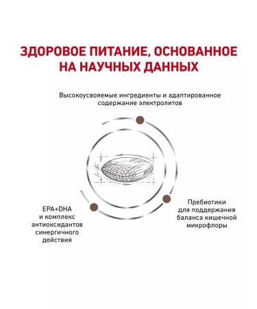 ROYAL CANIN GastroinTestinal Hairball for Cats 350g Heirbull - Buy Online on GoSupps.com