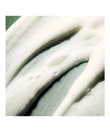 BENVOLEO Hydration Creamy Shampoo 450 ml cream - Buy Online on GoSupps.com