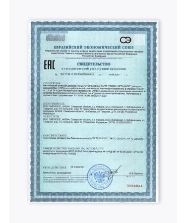 Halsa - personal vitamins Lizin amino acid Halal 1000 mg immunity strong joints - Buy Online on GoSupps.com