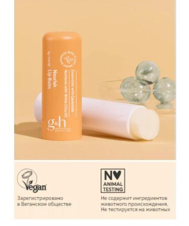 Amway Nourishing lip balm 4 g - Buy Online on GoSupps.com