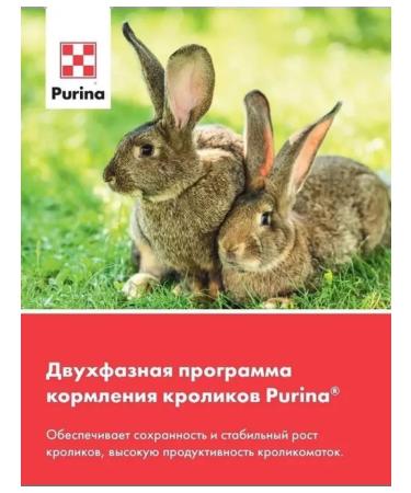Purina Feed for rabbits universal 10 kg - Buy Online on GoSupps.com