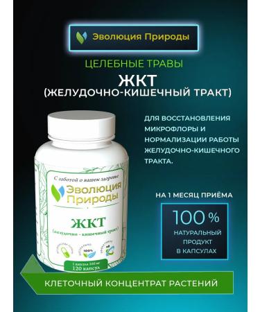 Evolution of Nature "Gastrointestinal tract (gastrointestinal tract)" for the stomach and intestines