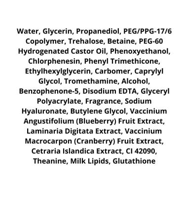 THE SAEM Moisturizing Mineral Toner Iceland Hydrating Toner - Buy Online on GoSupps.com