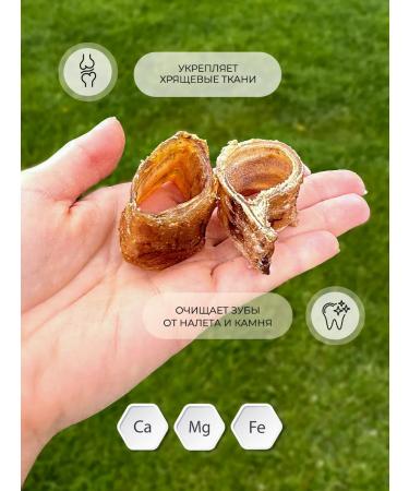 DoggyDog Goodies for dogs of beef trachea 100g - Buy Online on GoSupps.com