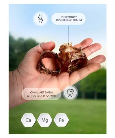 DoggyDog Treats for dogs of beef trache 300g - Buy Online on GoSupps.com