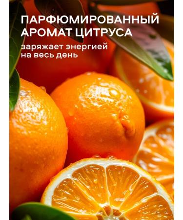 Reva Professional Shower gel perfumery set citrus melon 1+1 liter - Buy Online on GoSupps.com