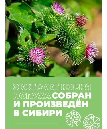 DikoMarket Burdock root extract 500 g - Buy Online on GoSupps.com