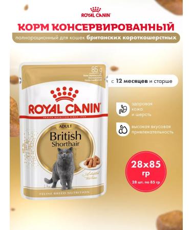 ROYAL CANIN Wet food for cats British shorthair sauce 28*85 g