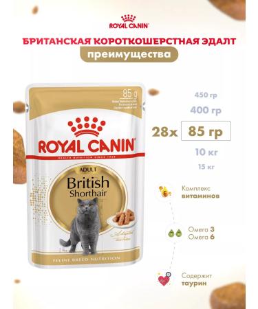 ROYAL CANIN Wet food for cats British shorthair sauce 28*85 g - Buy Online on GoSupps.com