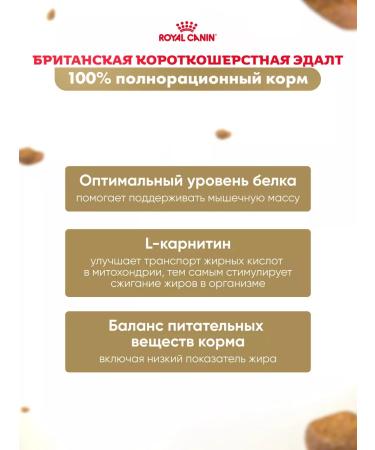 ROYAL CANIN Wet food for cats British shorthair sauce 28*85 g - Buy Online on GoSupps.com