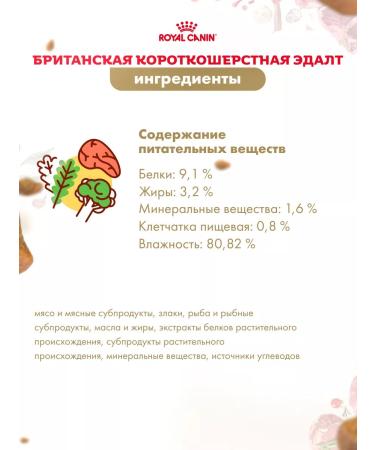 ROYAL CANIN Wet food for cats British shorthair sauce 28*85 g - Buy Online on GoSupps.com