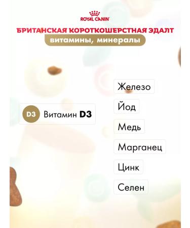 ROYAL CANIN Wet food for cats British shorthair sauce 28*85 g - Buy Online on GoSupps.com