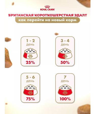 ROYAL CANIN Wet food for cats British shorthair sauce 28*85 g - Buy Online on GoSupps.com