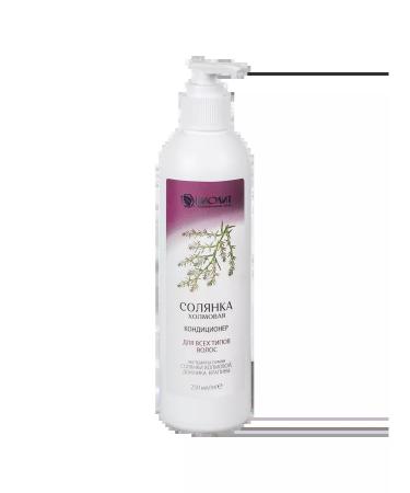 Biolith Solyanka Kholmovaya air conditioning 250 ml