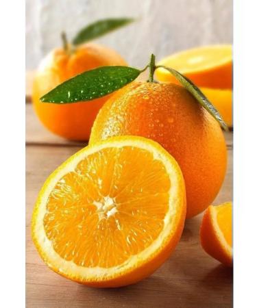 my Nectar orange baby food 0.2 l 7 pcs - Buy Online on GoSupps.com