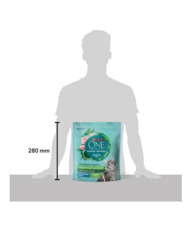 PURINA ONE Dry food for cats of a dial of a spirulin 0.68 kg 4 pcs - Buy Online on GoSupps.com
