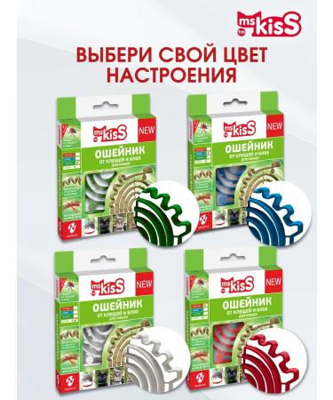 Ms Kiss Bloch and Blue Blue Blue Blue Blue Blue - Buy Online on GoSupps.com