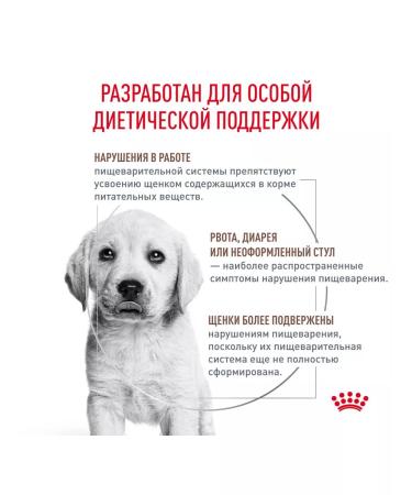 ROYAL CANIN GastroinTestinal food for puppies Gastroinsaqual 1 kg - Buy Online on GoSupps.com