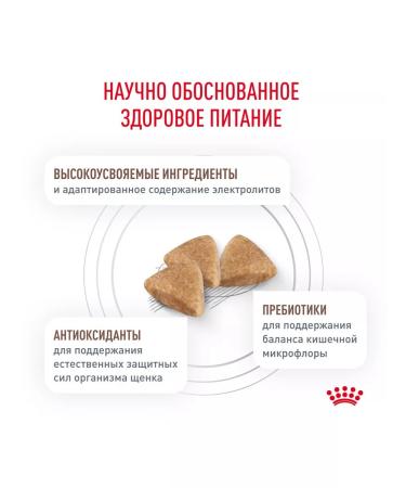 ROYAL CANIN GastroinTestinal food for puppies Gastroinsaqual 1 kg - Buy Online on GoSupps.com