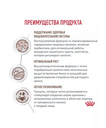 ROYAL CANIN GastroinTestinal food for puppies Gastroinsaqual 1 kg - Buy Online on GoSupps.com