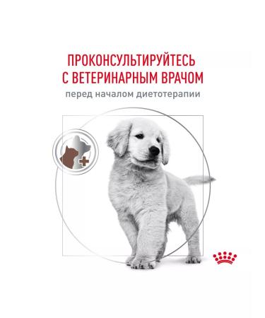 ROYAL CANIN GastroinTestinal food for puppies Gastroinsaqual 1 kg - Buy Online on GoSupps.com
