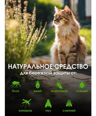 Ms Kiss Collar from fleas and ticks for cats white 38 cm - Buy Online on GoSupps.com