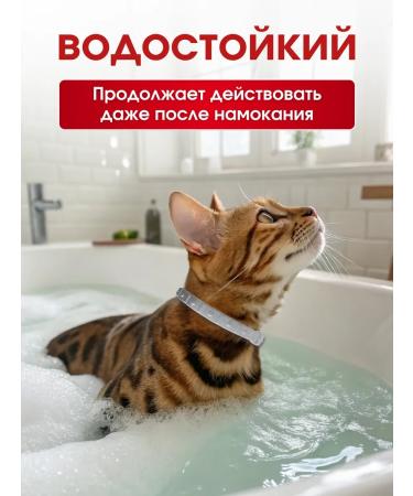 Ms Kiss Collar from fleas and ticks for cats white 38 cm - Buy Online on GoSupps.com