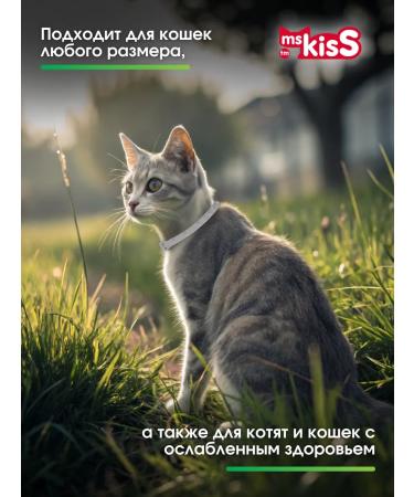 Ms Kiss Collar from fleas and ticks for cats white 38 cm - Buy Online on GoSupps.com