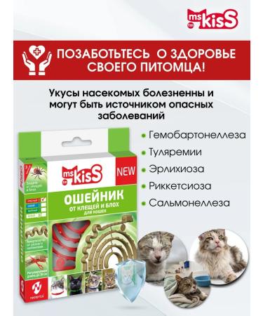 Ms Kiss Collar from fleas and ticks for cats red 38 cm - Buy Online on GoSupps.com