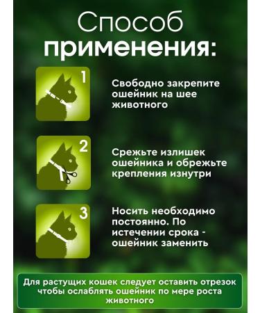 Ms Kiss Collar from fleas and ticks for cats green 38 cm - Buy Online on GoSupps.com