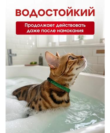 Ms Kiss Collar from fleas and ticks for cats green 38 cm - Buy Online on GoSupps.com