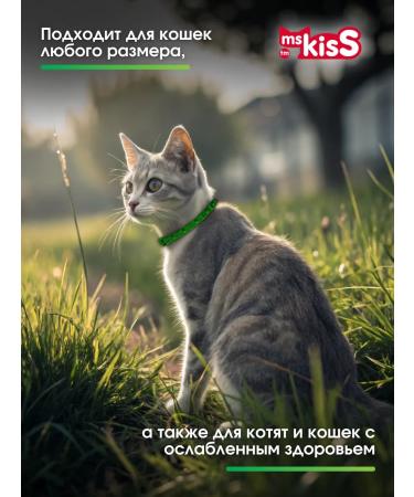 Ms Kiss Collar from fleas and ticks for cats green 38 cm - Buy Online on GoSupps.com