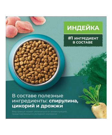 PURINA ONE Cat food for a dry turfspiline turf 0.68 kg - Buy Online on GoSupps.com