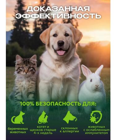 GreenFort neo Flea shampoo for cats rabbits and dogs GreenFort 380 ml - Buy Online on GoSupps.com