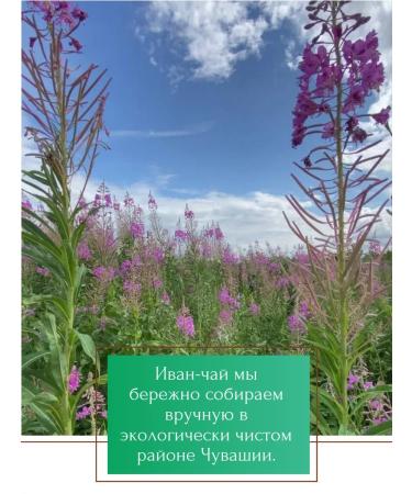 ASAM IVANE-TAITHY TAGE TARN 100 GP - Buy Online on GoSupps.com