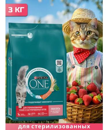 PURINA ONE Dry food for sterilized cats salmon 3 kg - Buy Online on GoSupps.com