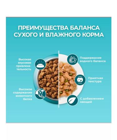 PURINA ONE Dry food for sterilized cats salmon 3 kg - Buy Online on GoSupps.com