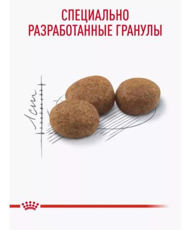 ROYAL CANIN Royal Kanin dry food for sterilized cats 10 kg - Buy Online on GoSupps.com