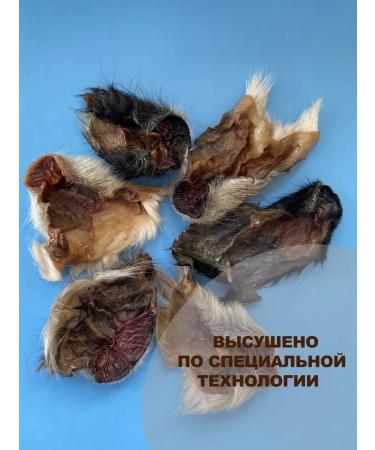 TREAT Lamb crispies - Buy Online on GoSupps.com