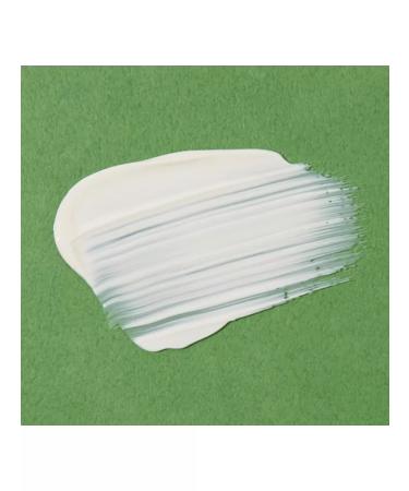 Papa Recipe Sanskrin TEA TREE CONTROL MILD SUN Cream SPF50+PA ++++ 50ML - Buy Online on GoSupps.com