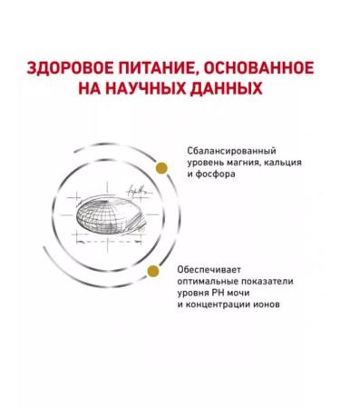 ROYAL CANIN Urinary 3.5 kg for adult cats at ICD - Buy Online on GoSupps.com