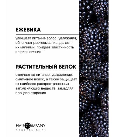 HAIR COMPANY PROFESSIONAL Tinted shampoo - Buy Online on GoSupps.com