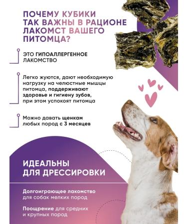 Top Lap Dog training Fisheries 300 grams - Buy Online on GoSupps.com