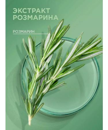 Schauma shampoo luxurious volume 370 ml - Buy Online on GoSupps.com