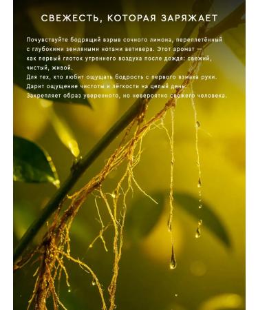 SOLTIS Shampoo and shower gel 2 in 1 Vetiver & Lemon 5l - Buy Online on GoSupps.com