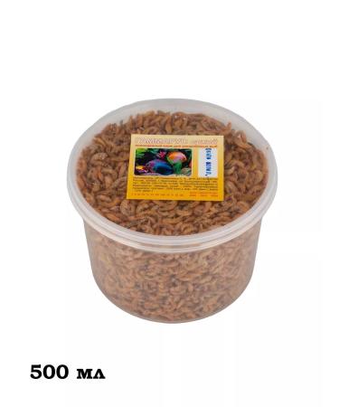 great Gammarus dried carcass