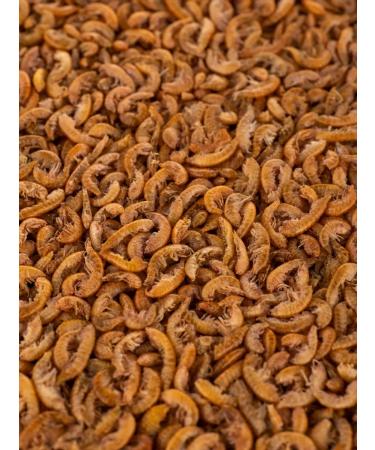 great Gammarus dried carcass - Buy Online on GoSupps.com