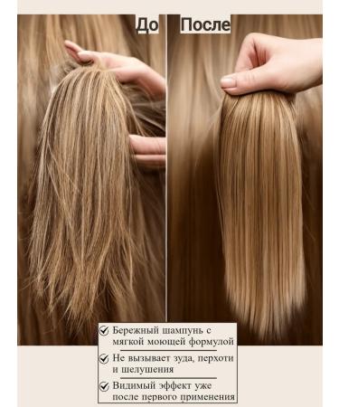 RECOELITIER PROFESSIONAL Hyaluronic shampoo hair moisturizing 1000ml SLS FREE - Buy Online on GoSupps.com